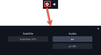 select language in video